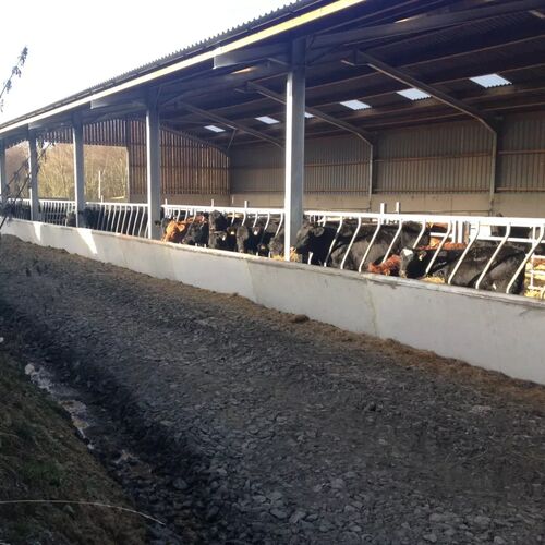 Feed Trough