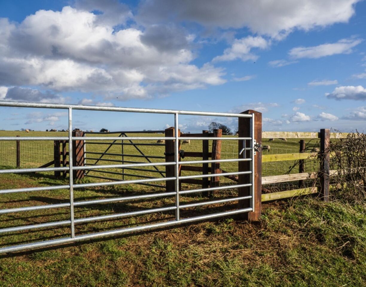 Gate thumb