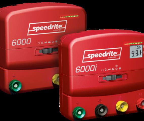 UNI 6000