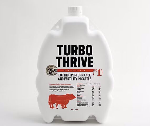 TURBO THRIVE