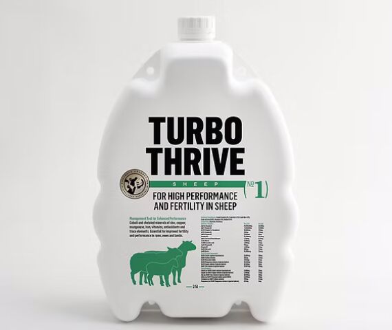 TURBO THRIVE SHEEP
