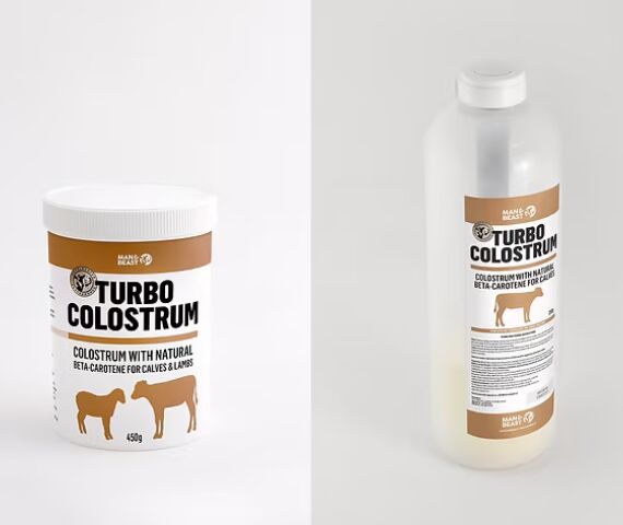 TURBO COLLUSTRUM