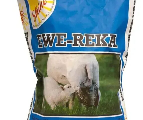 Lamb Milk Replacer