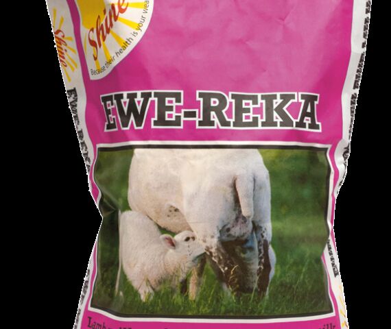 Ewe reka bag 20kg PINK 2021 1