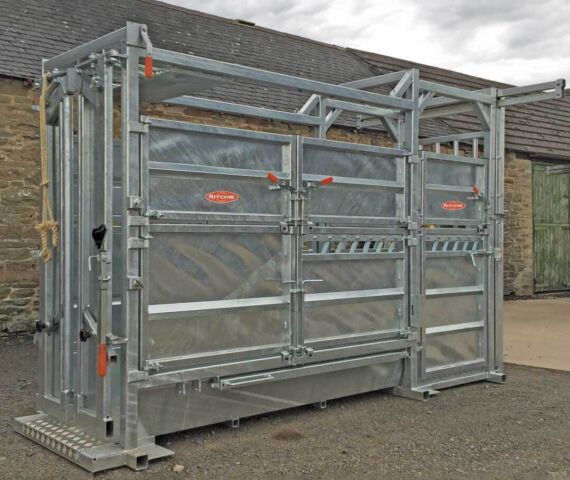 Extended Length Continental Cattle Handling Crate With Automatic Yoke