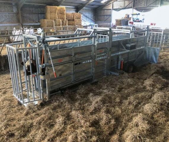 Mobile Cattle Crate with Manual Yoke