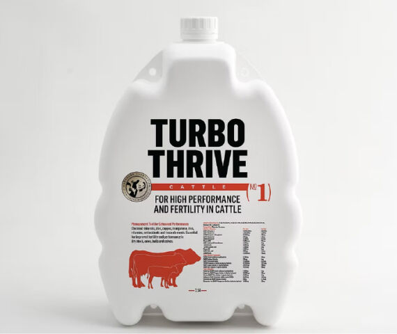 TURBO THRIVE 2