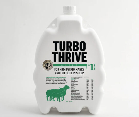 TURBO THRIVE