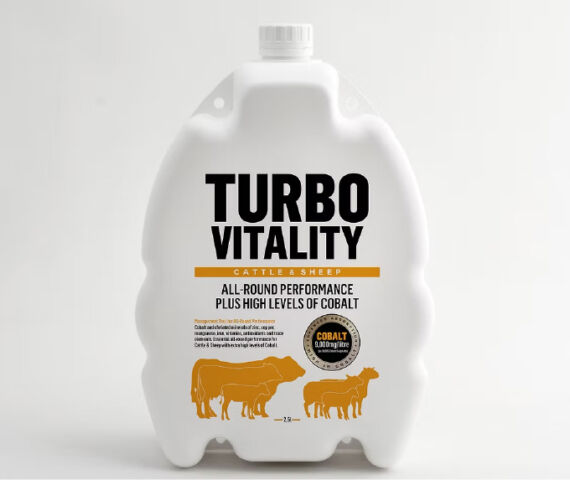 TURBO VITALITY