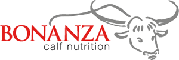 Bonanza 600x